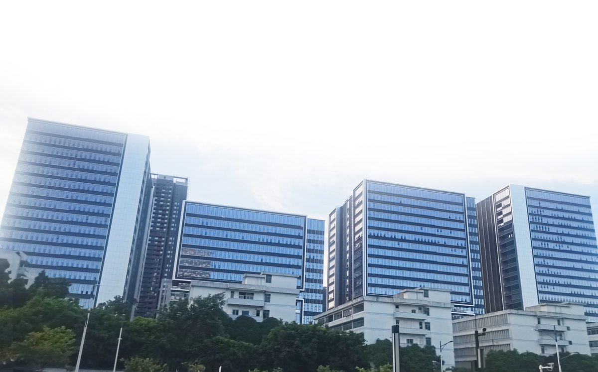 公司介绍